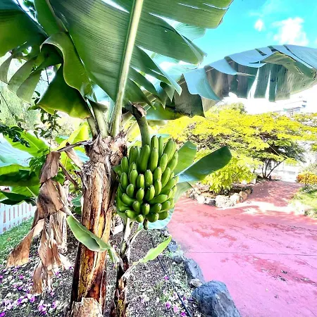 One Bedroom With Wifi, Pools And Garden In Puerto De La Cruz Apartamento
