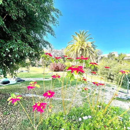 Apartamento One Bedroom With Wifi, Pools And Garden In Puerto De La Cruz
