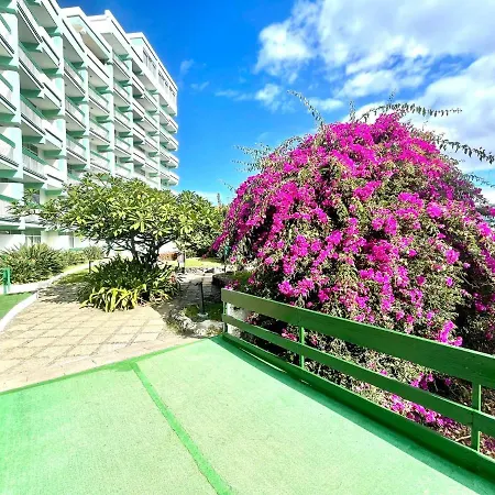 One Bedroom With Wifi, Pools And Garden In Puerto De La Cruz *