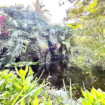 One Bedroom With Wifi, Pools And Garden In Puerto De La Cruz *