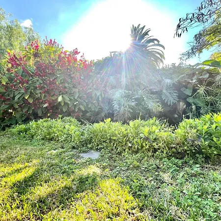 One Bedroom With Wifi, Pools And Garden In Puerto De La Cruz *